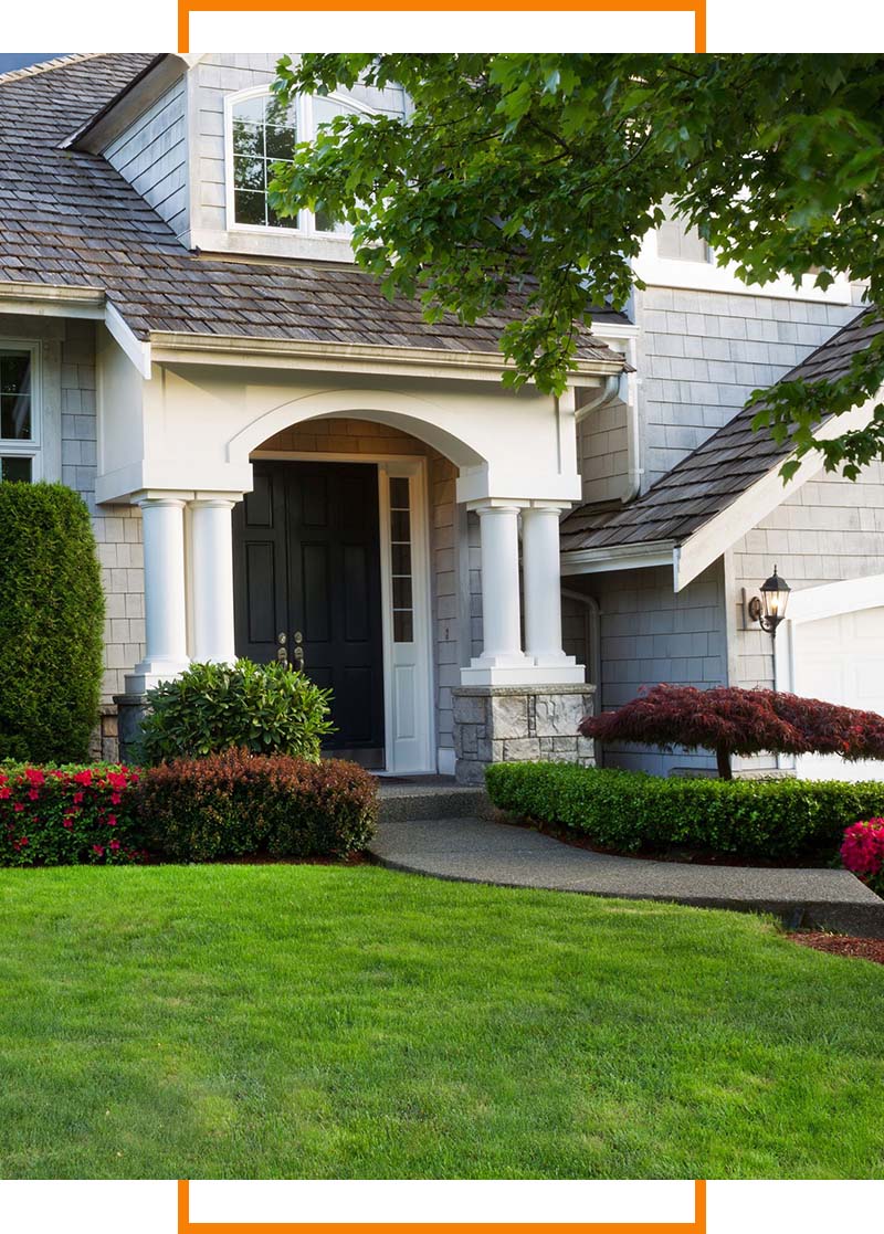 trees near front of house