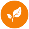 icon of leaf