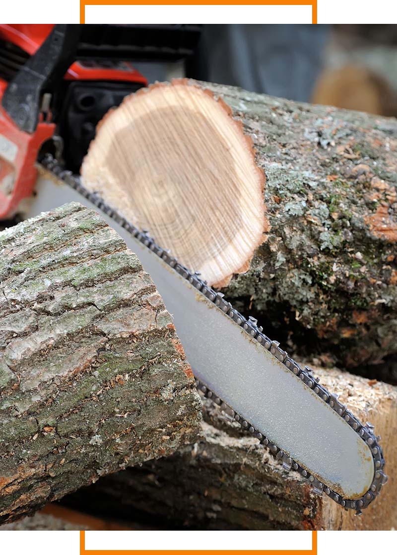 chainsaw splitting tree trunk