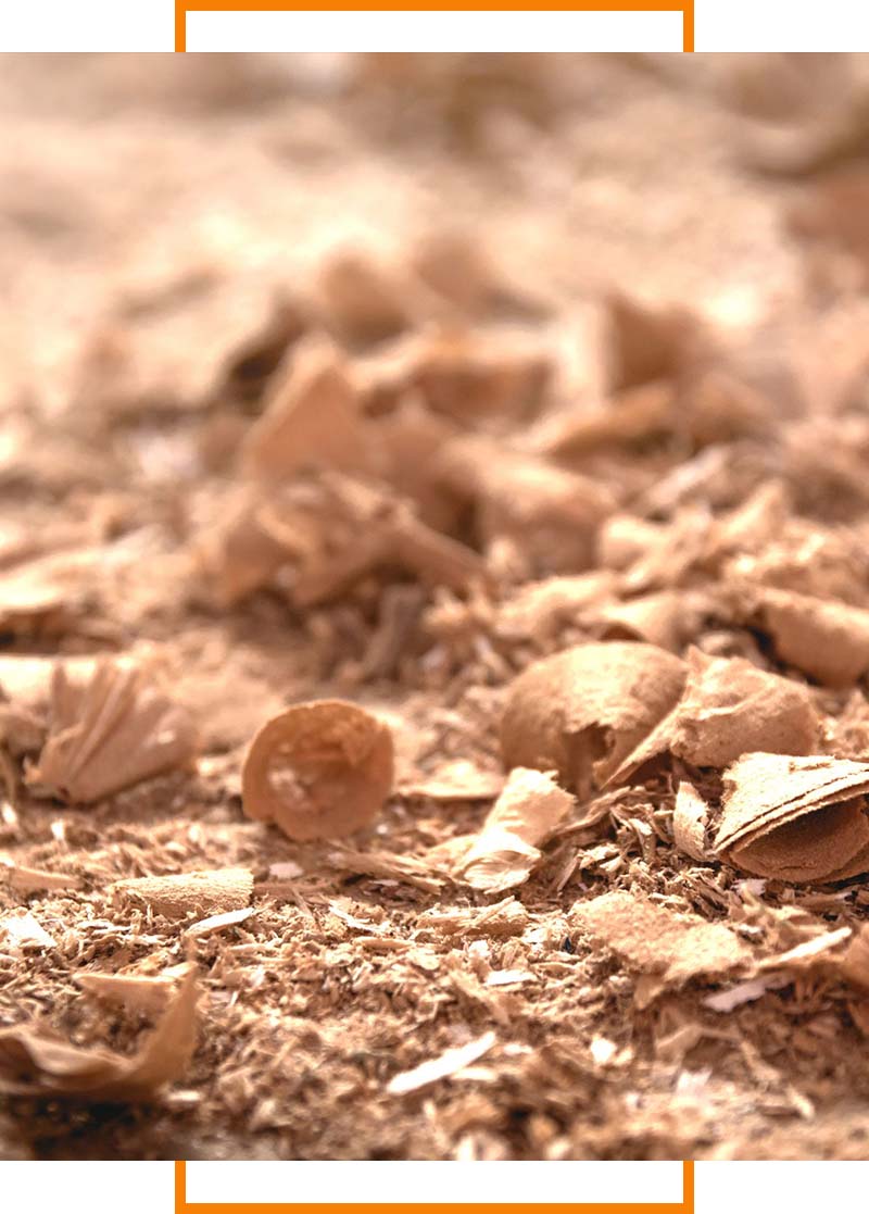 closeup of sawdust