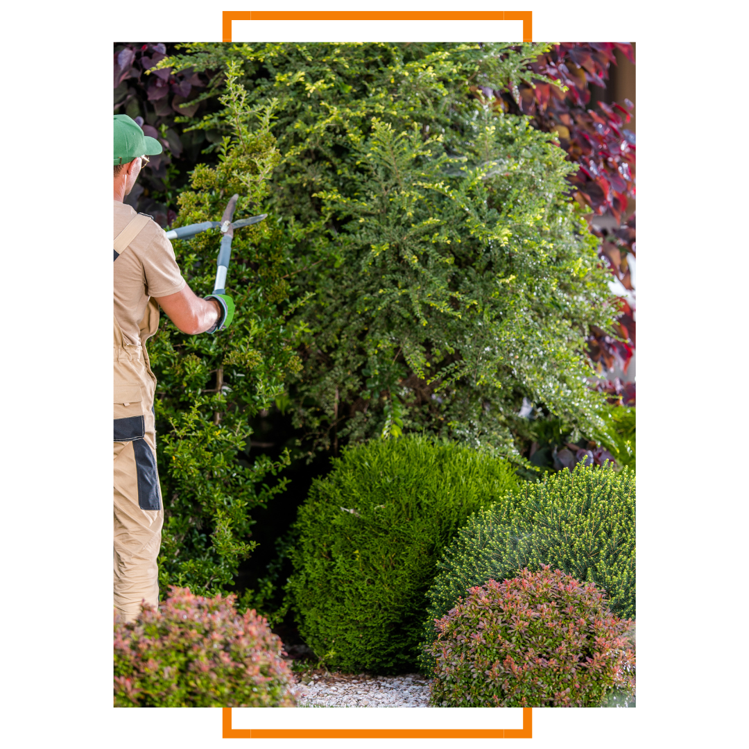 specialized trimming services