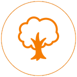 tree icon