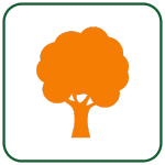 tree icon