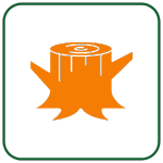 tree stump icon