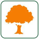 emergency tree removal in east chicago