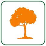 tree removal in east chicago