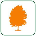 tree trimming in east chicago