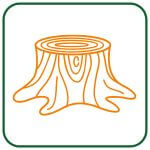 Stump Removal