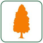commercial tree services