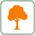 residential tree services