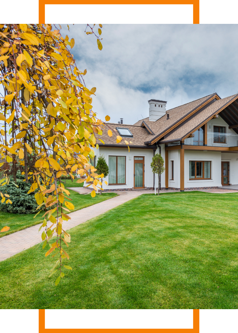 Tree branch in front of a home