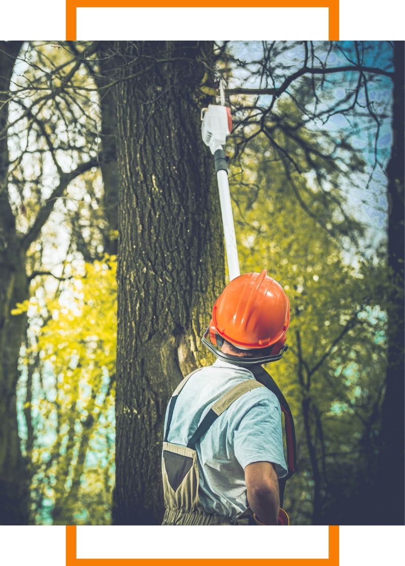 person with hard hat
