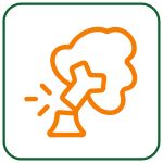 New Chicago Tree Removal