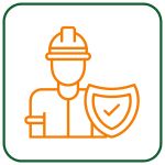 New Chicago Tree Removal (2)