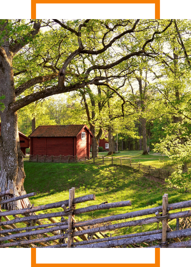 House with tree in foreground