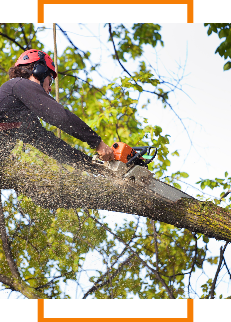 ArlingtonHeights (3)