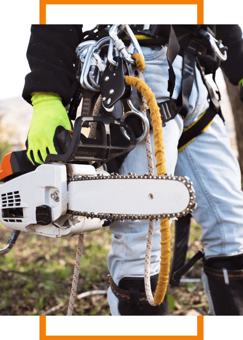 man carrying chainsaw