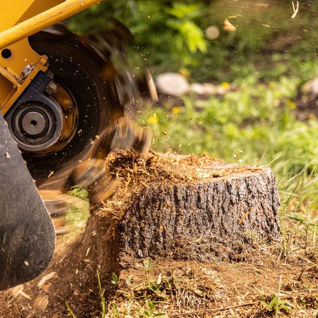 Grinder cutting a stump to chips — Tree service Elmwood Park, IL