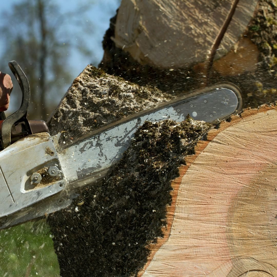 Chainsaw bar buried in a cut log — Tree service Lombard, IL