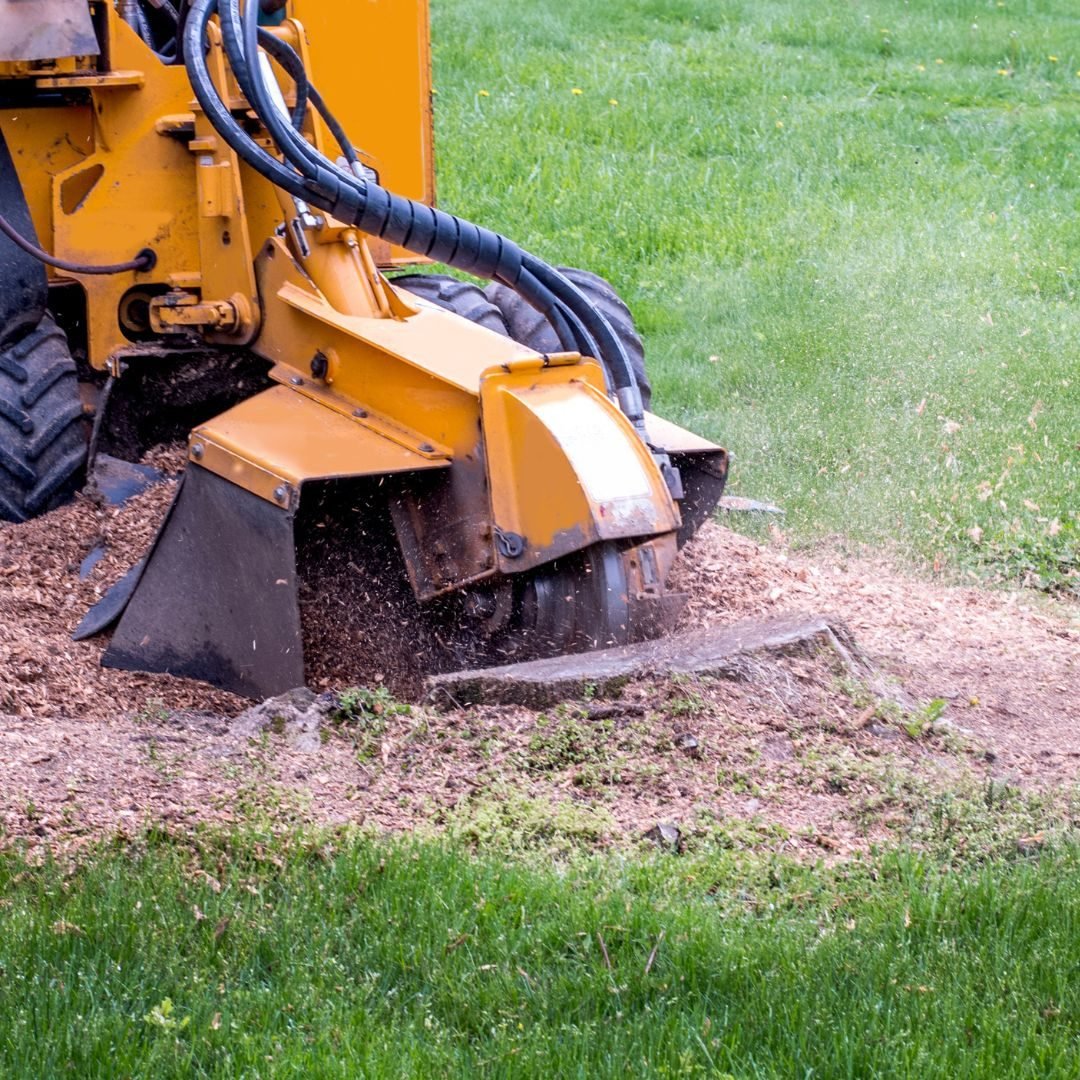 Stump grinder throwing wood chips — Tree service Forest Park, IL