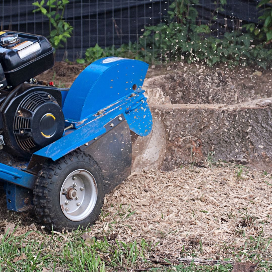 Walk-behind stump grinder at work — Tree service Homewood, IL