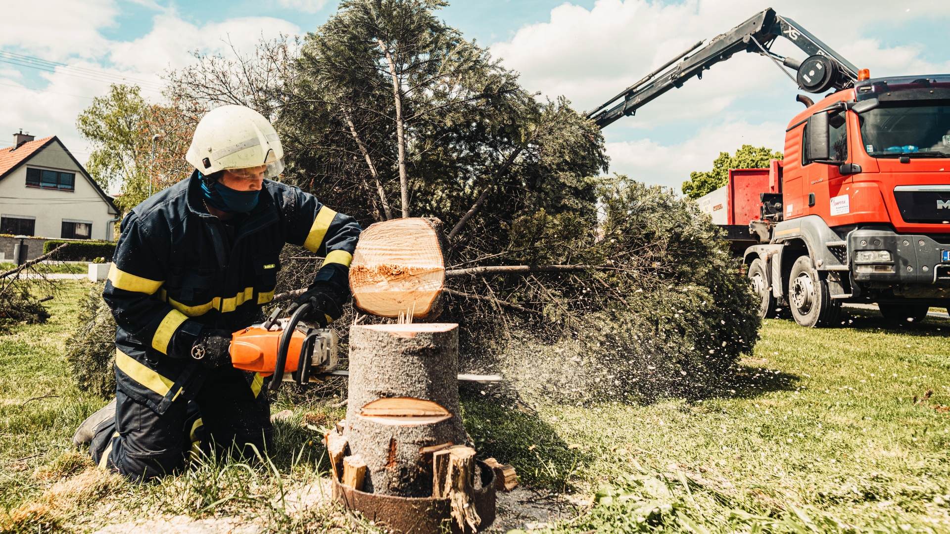 Man cutting down a tree