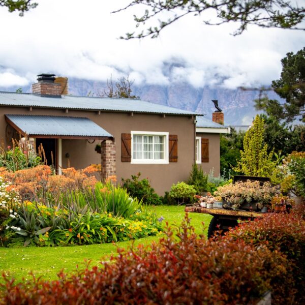 Residential backyard thriving