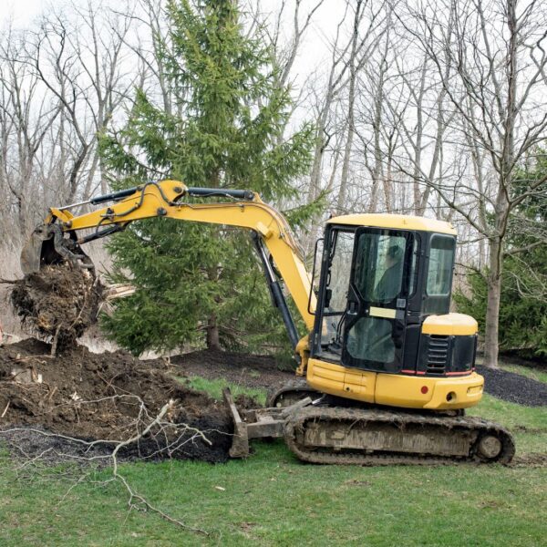 Large machinery removing excess after stump removal