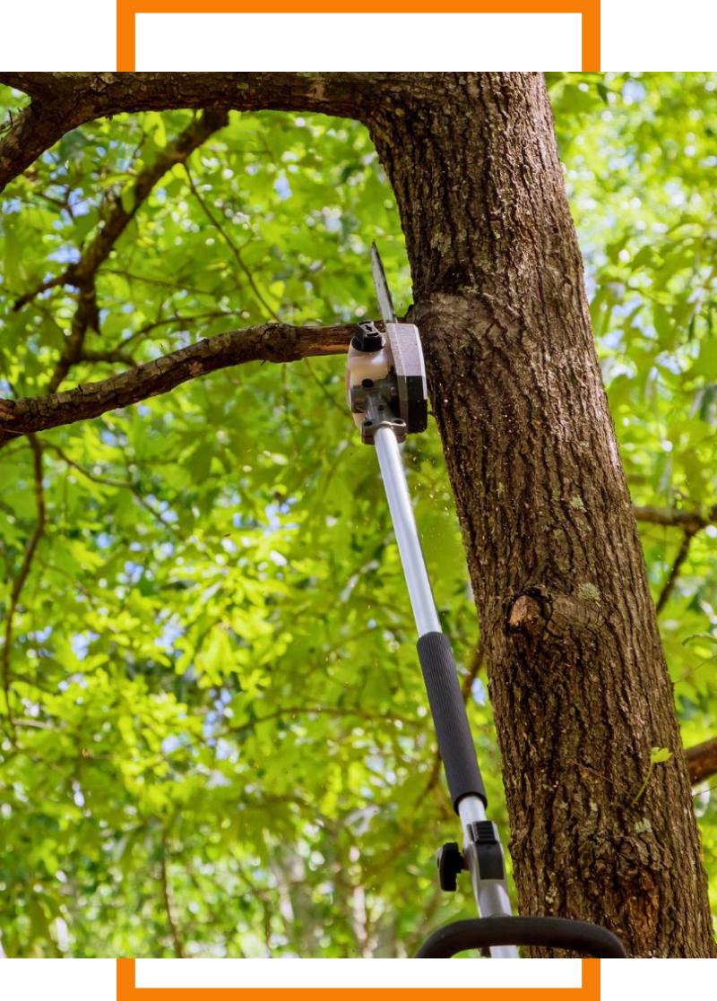 4 Prospect Heights (2)