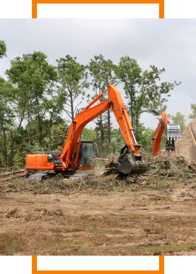 4 Prospect Heights (4)