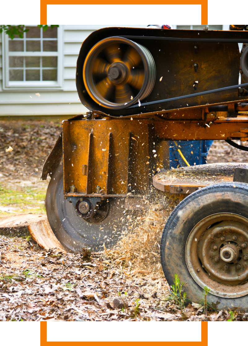 a stump grinder