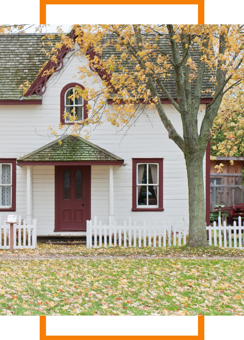 tree beside a home