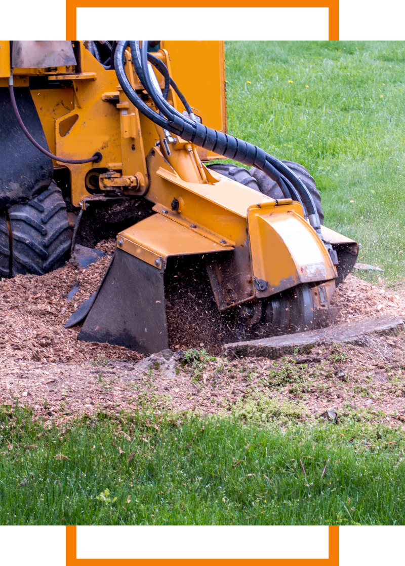 stump grinding