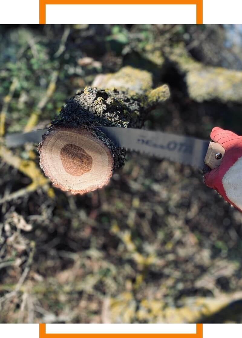 man using a chainsaw to cut a tree