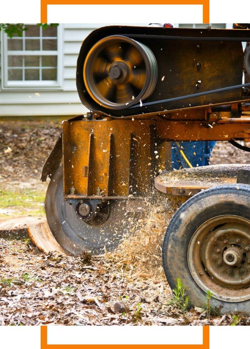 stump grinding