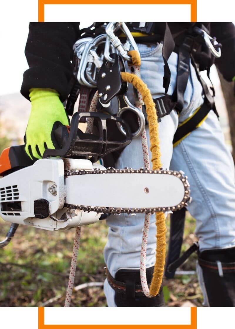 man carrying chainsaw