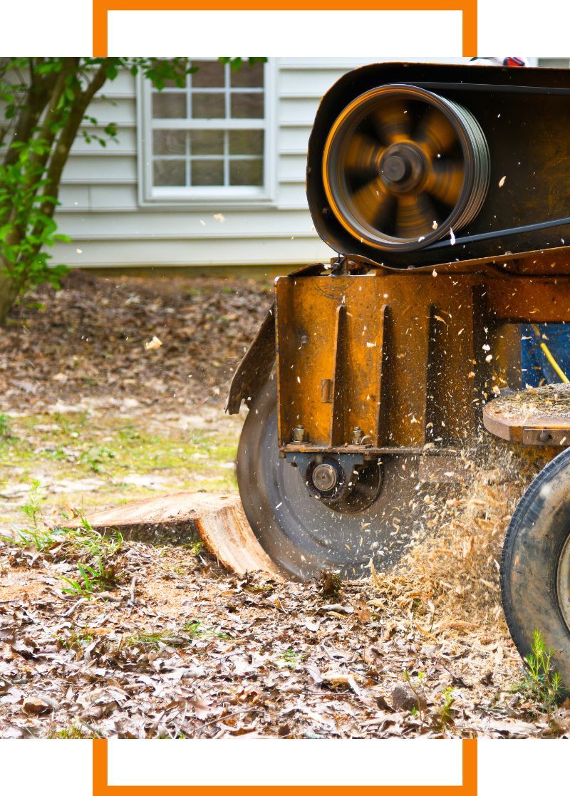 a stump being ground with machinery