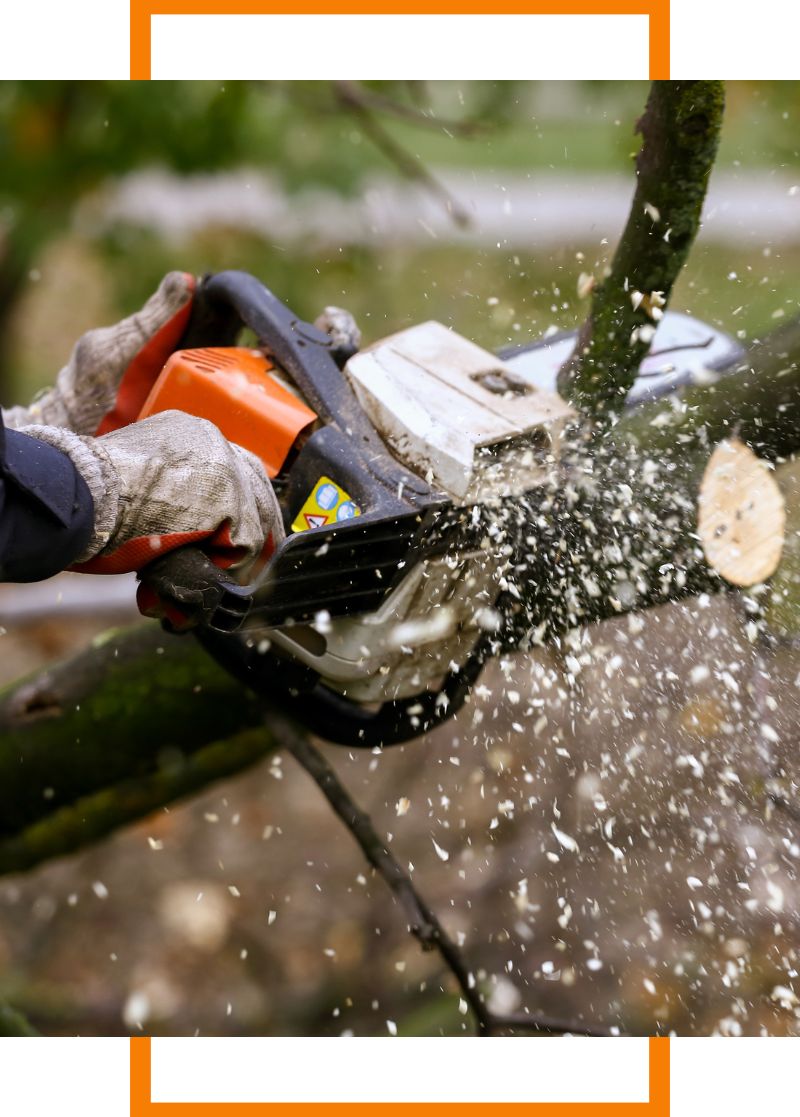 a person cutting a branch with a chainsaw