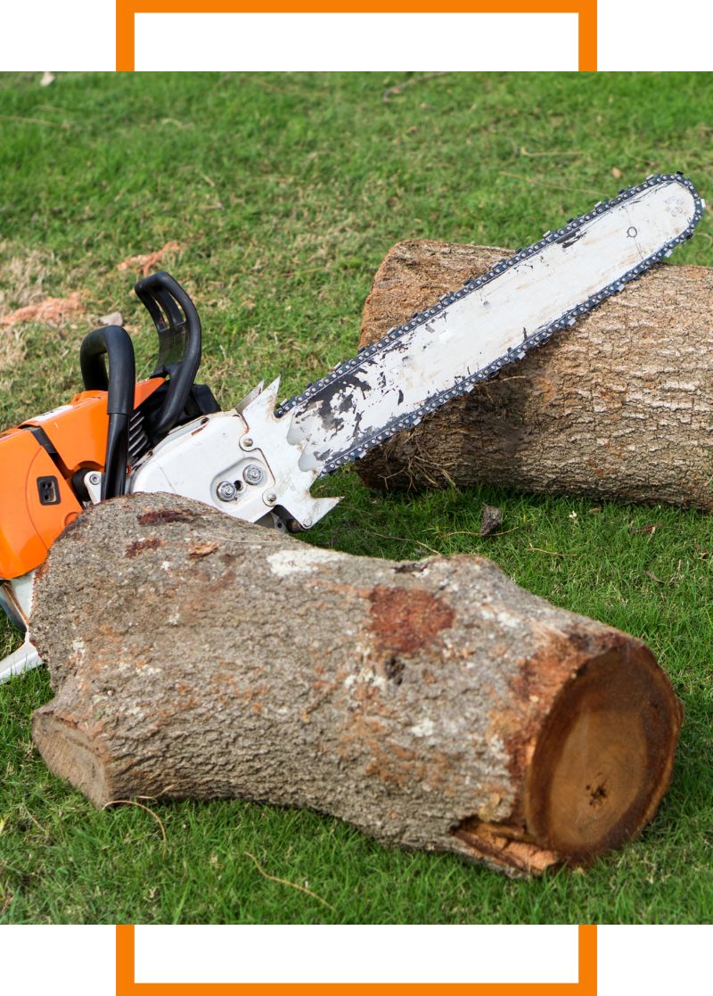 a chainsaw resting on a log