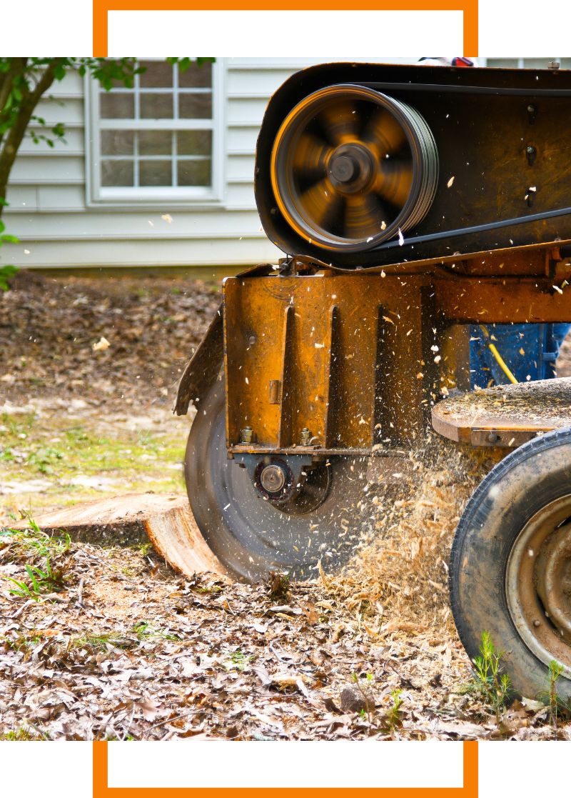 a stump grinding machine