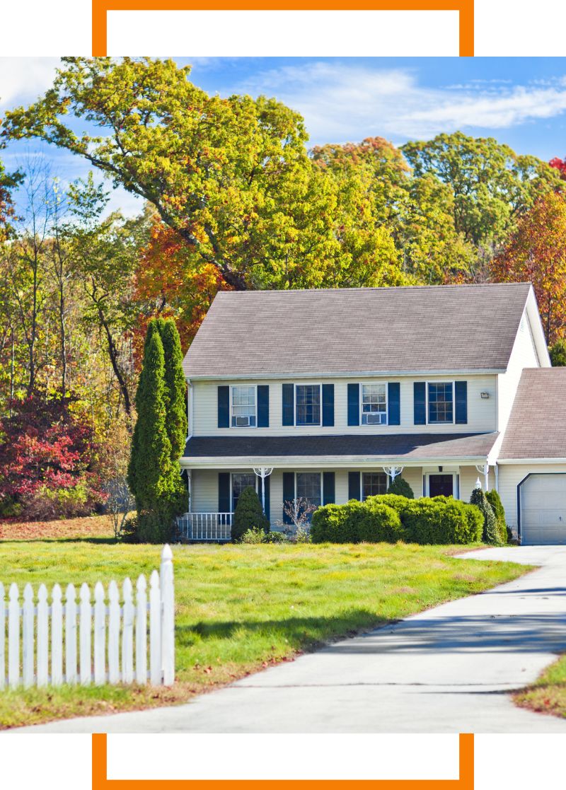 trees around a house