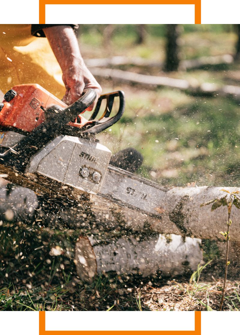 a person cutting a branch with a chainsaw