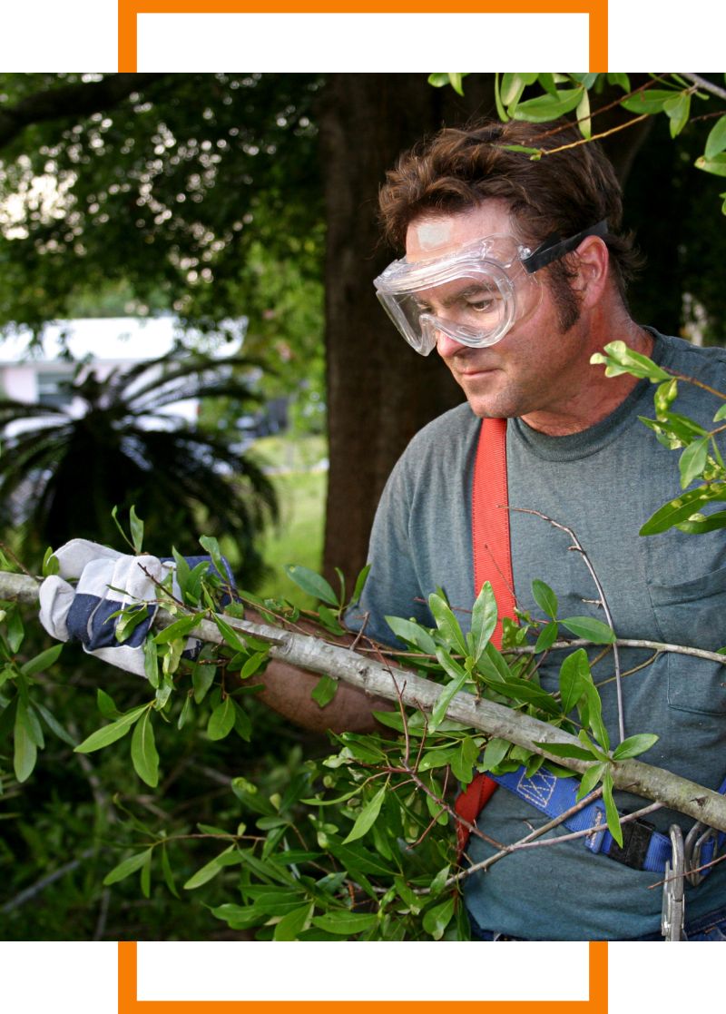 a man holding a trimmed branch