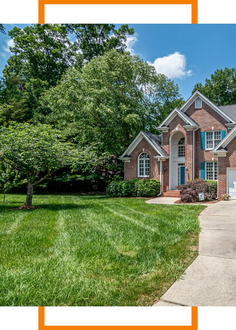a home with a tree in the front yard