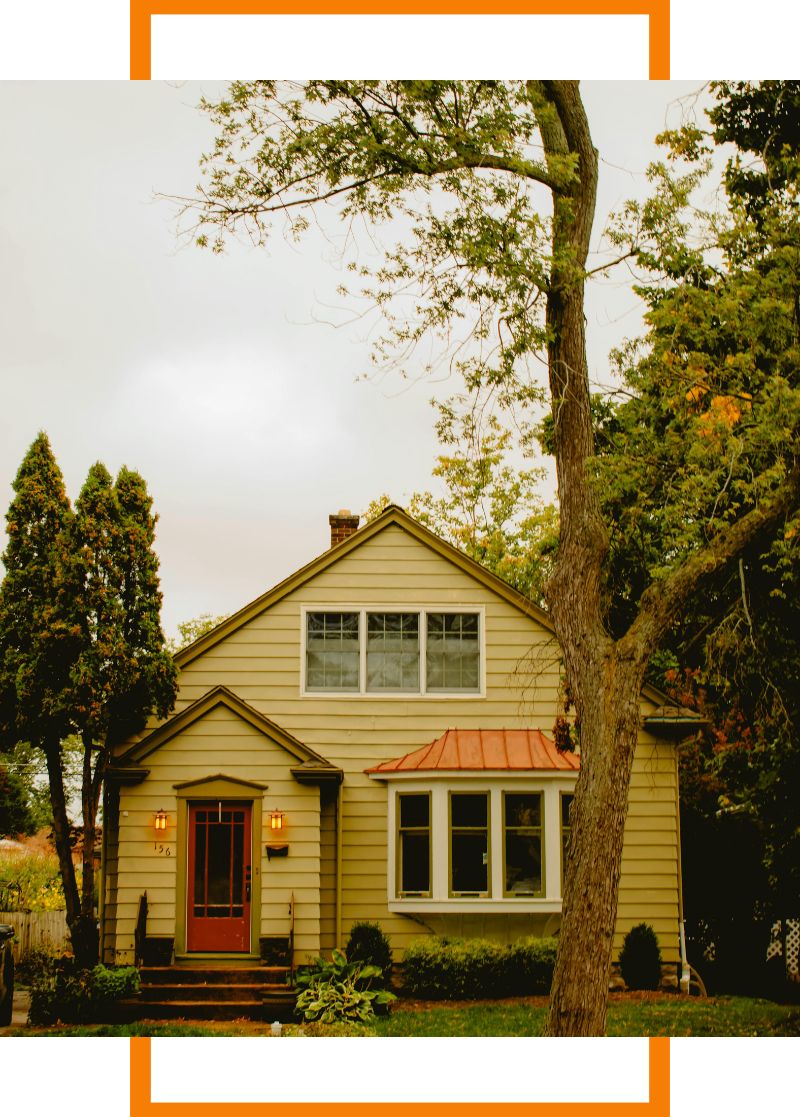 a home with a tree in the front yard