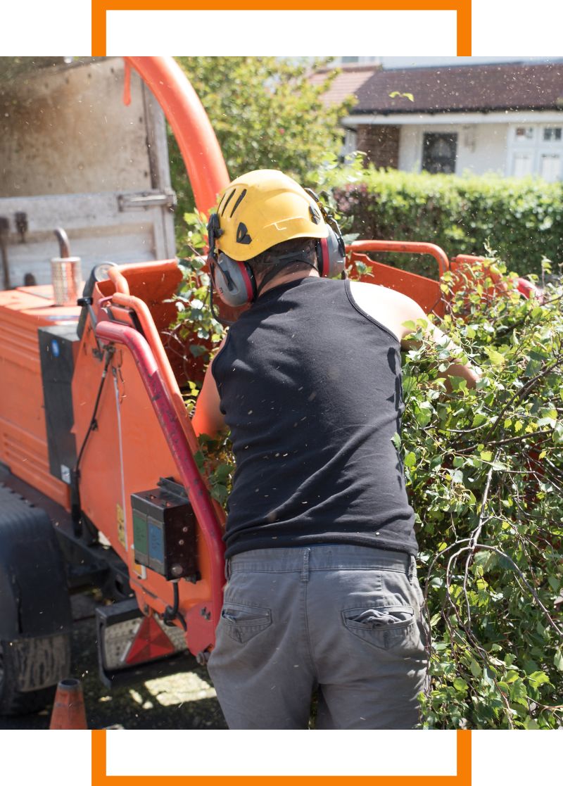 a person putting a branch in a wood chipper