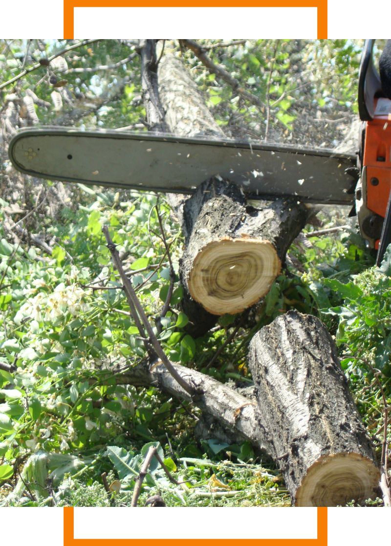 a person cutting a log with a chainsaw